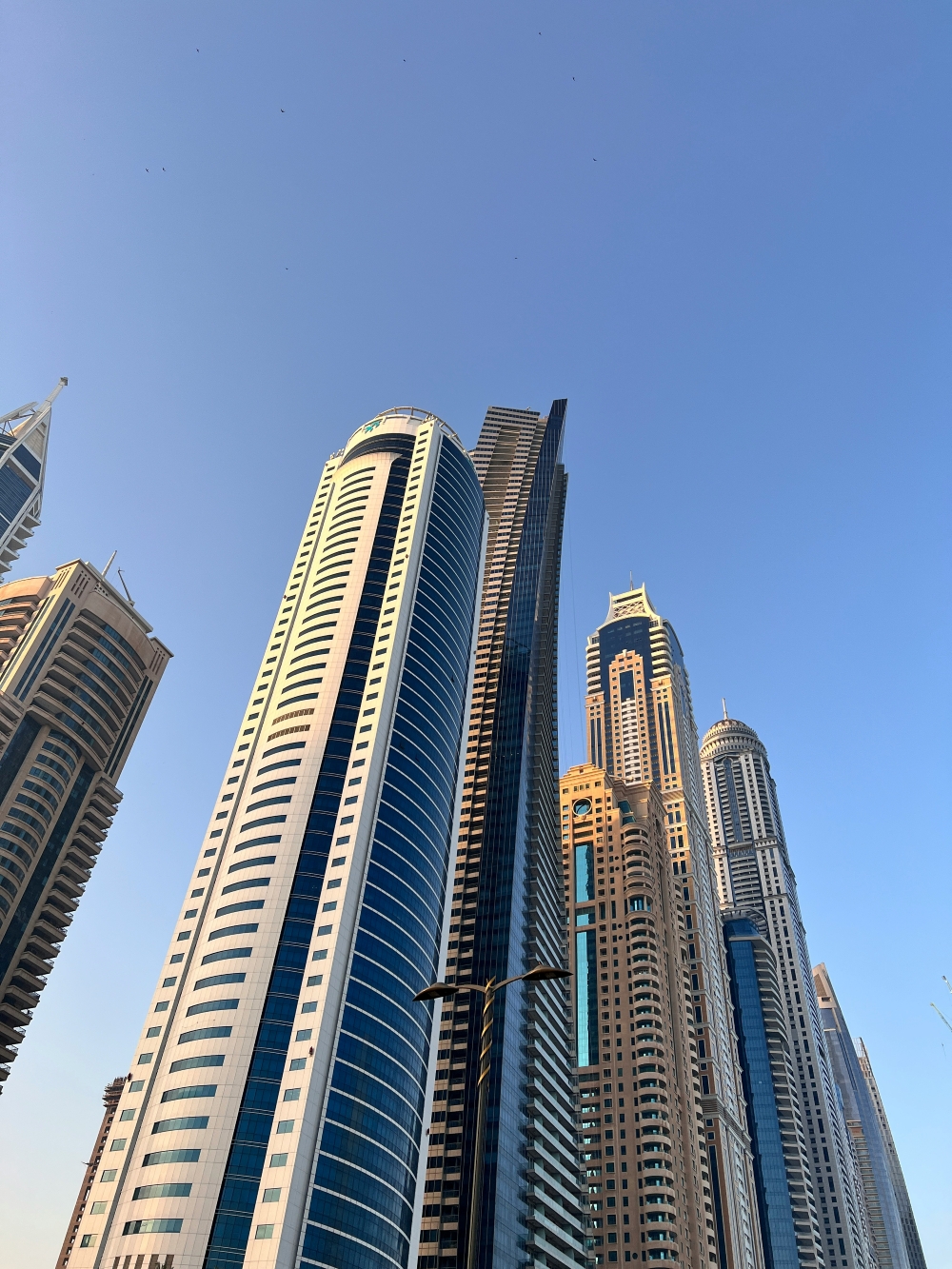 grand_evolution_contact