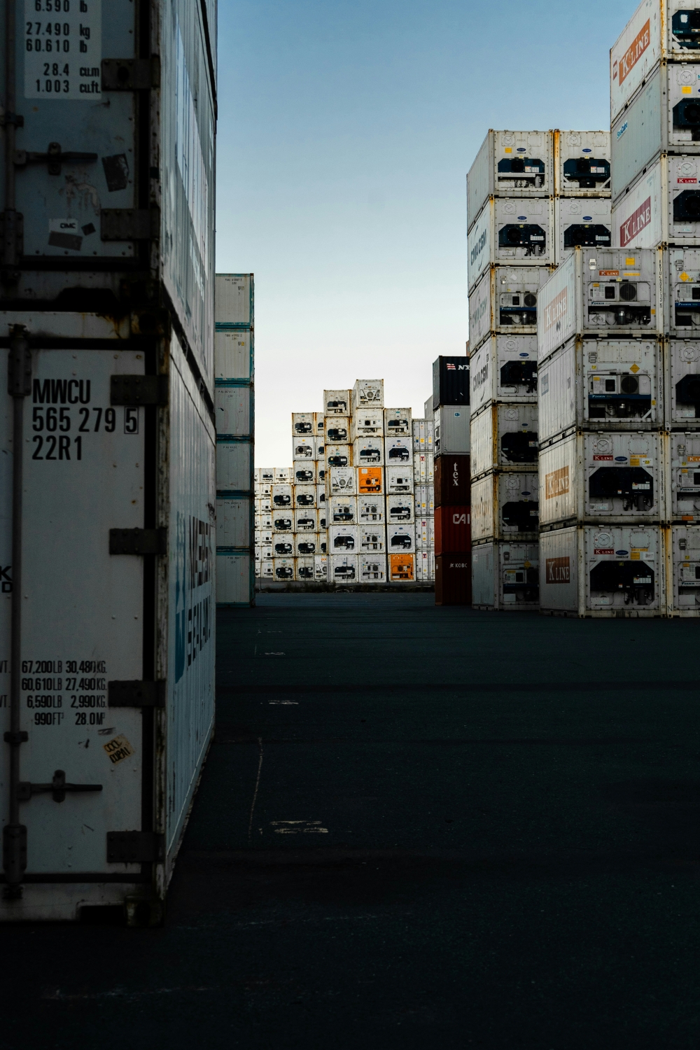 grand_evolution_images